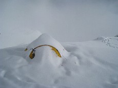 At camp 1, my tent after a small storm